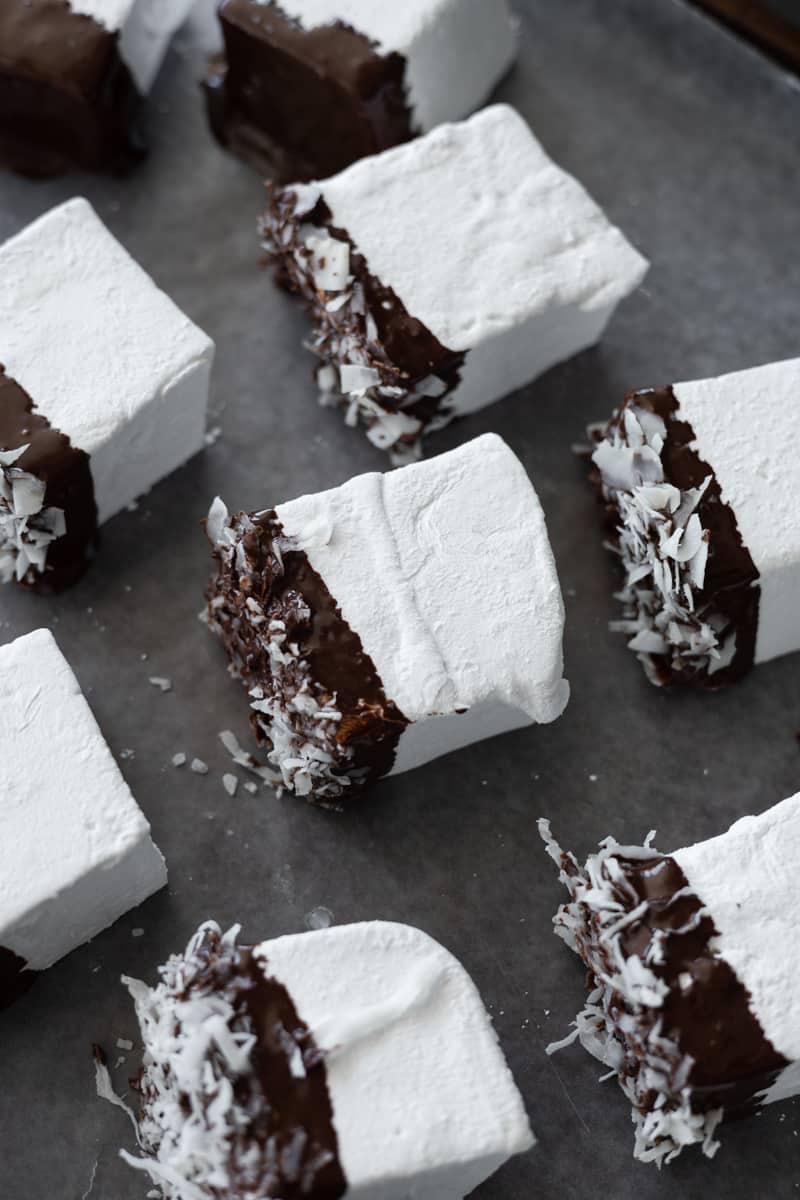 Marshmallows dipped in chocolate and shredded coconut. 