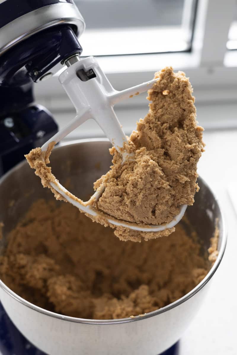 Dough mixed together in the bowl of a stand mixer. 