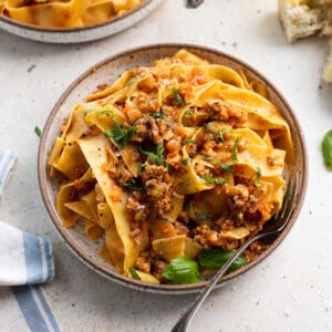 Chicken bolognese in a bowl with a fork.