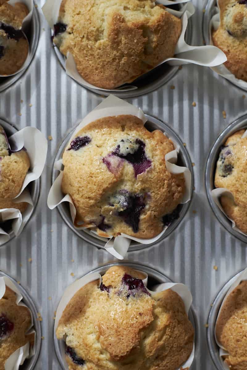 Sourdough Discard Blueberry Muffins in the tray after baking.