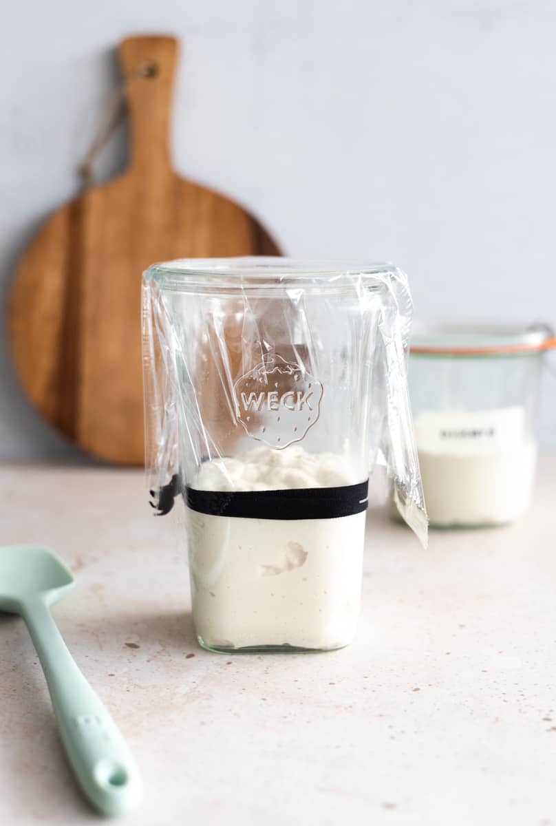 Sourdogh starter in a tall glass jar with a black rubberband, covered in plastic wrap. 