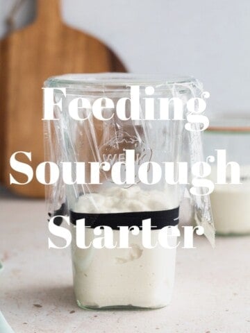 Featured image for Feeding Sourdough Starter.