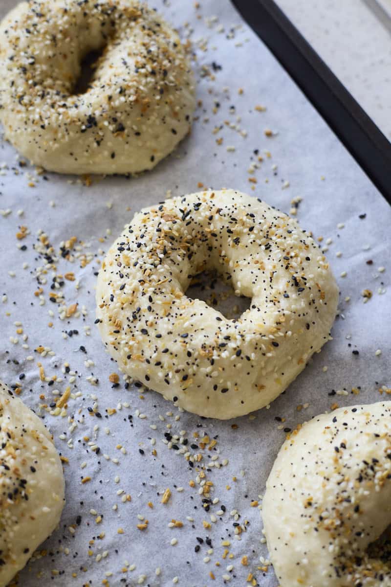 A bagel sprinkled with everything bagel seasoning.
