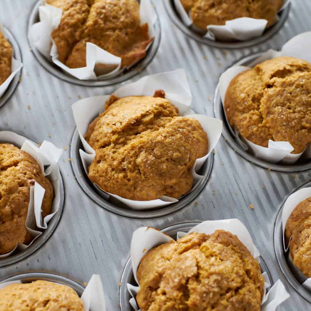 Sourdough Discard Pumpkin Muffins in a muffin pan.