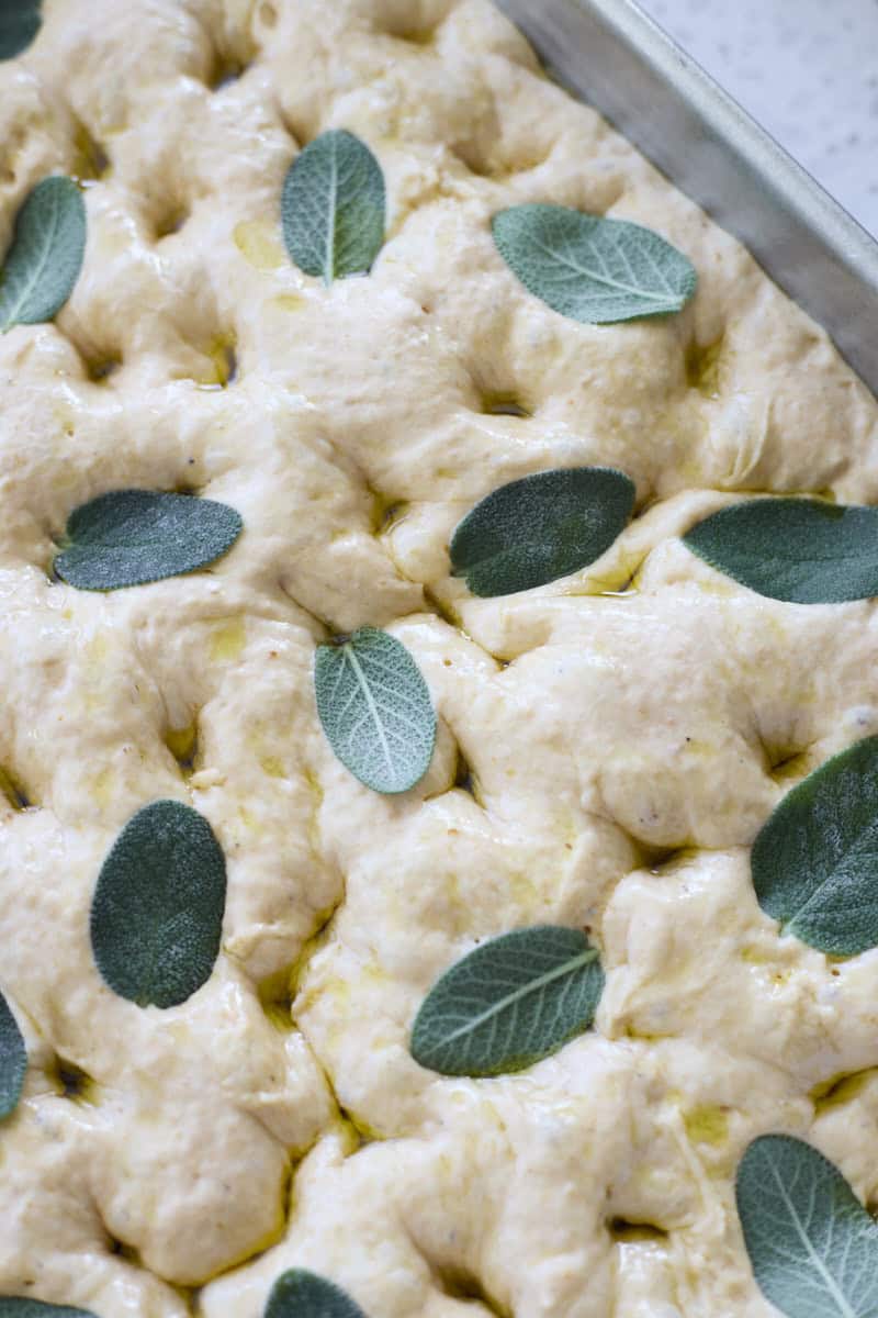 Fresh sage pressed into the focaccia dough.