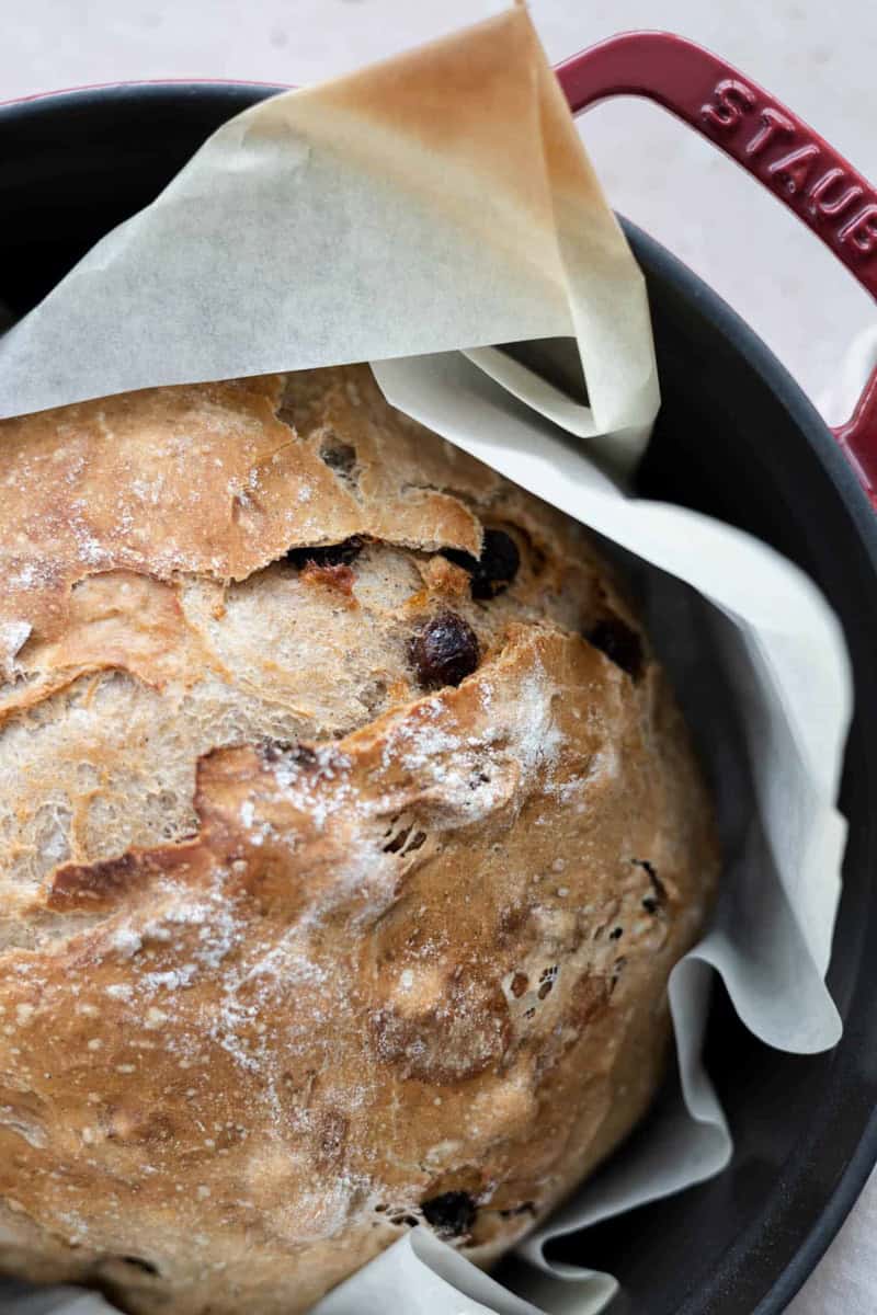 A closeup of No-Knead Walnut Raisin Bread in a Dutch oven.