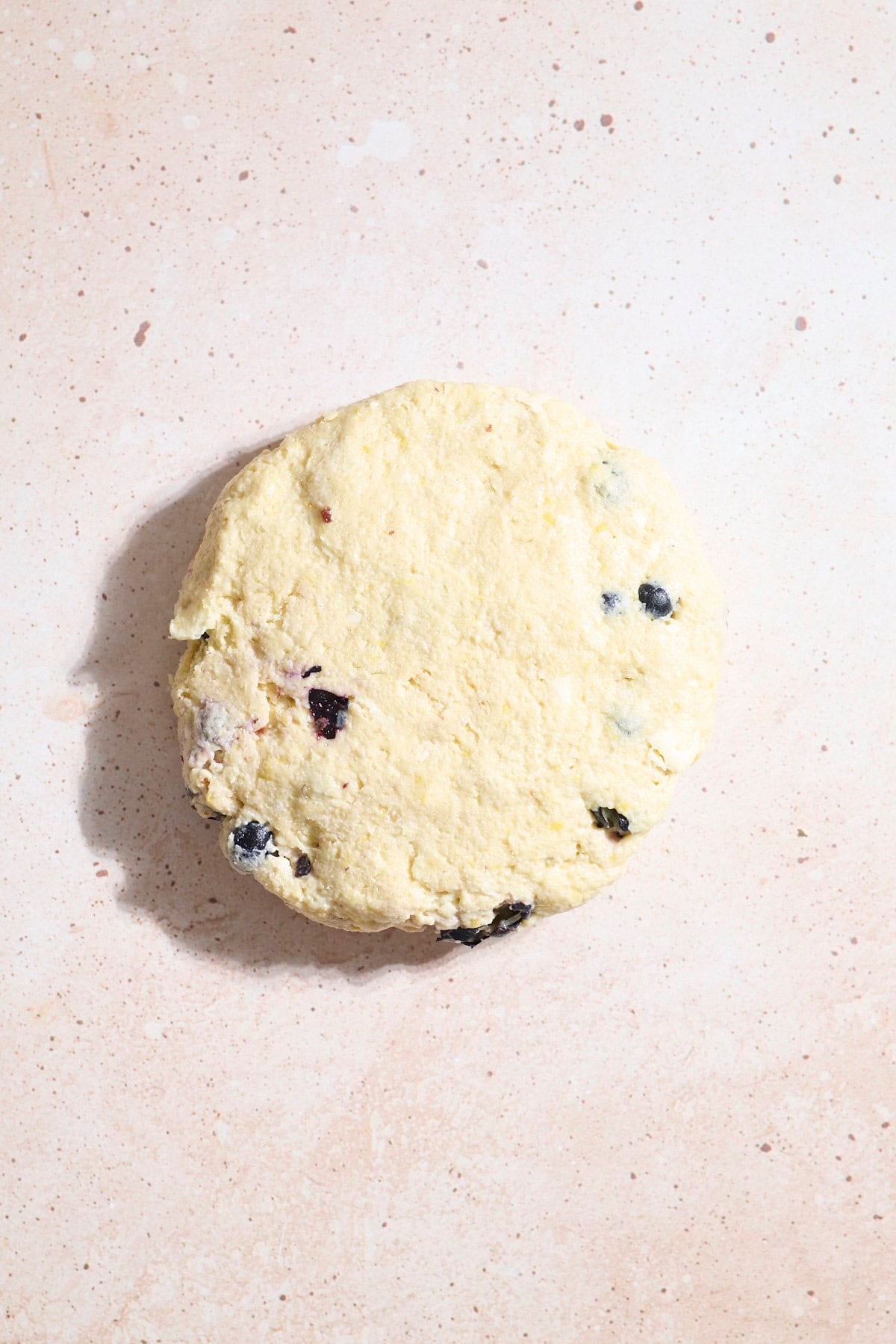 Dough pressed into a disk.