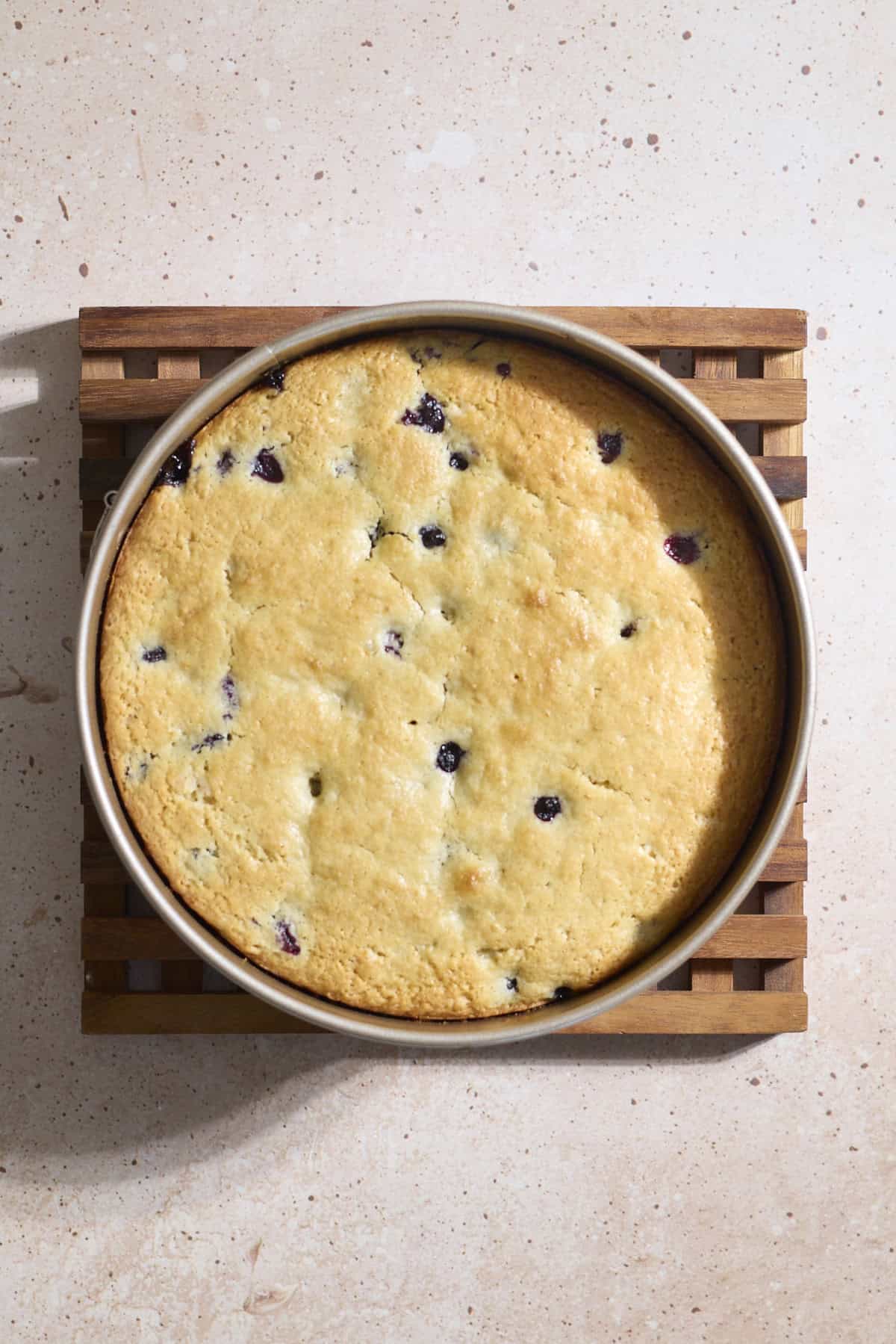 Baked cake in a springform pan.
