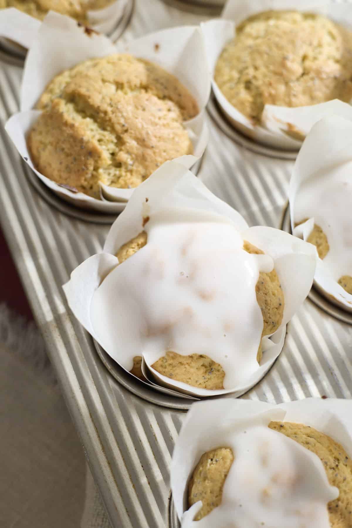 Sourdough Lemon Poppy Seed Muffins in the muffin pan.