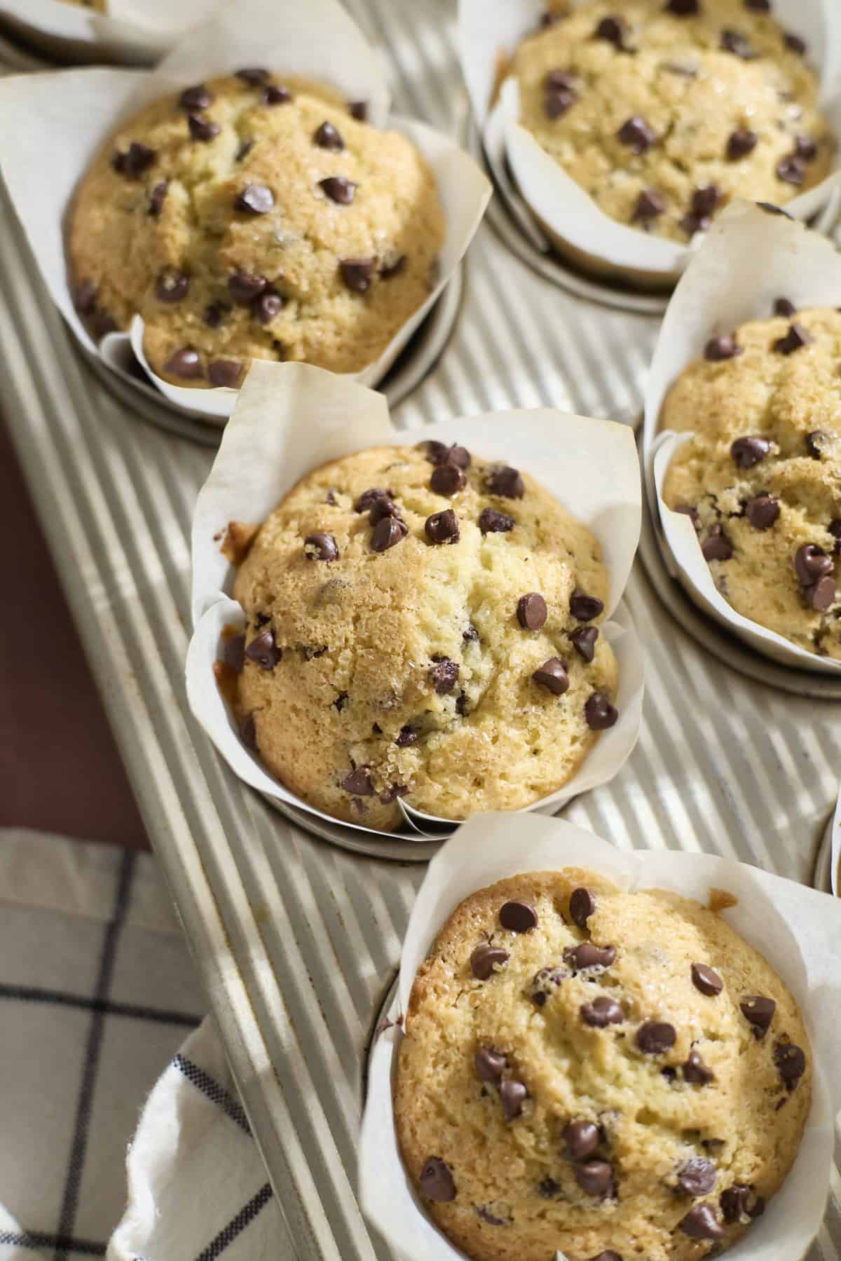 Sourdough Discard Chocolate Chip Muffins in a muffin pan.