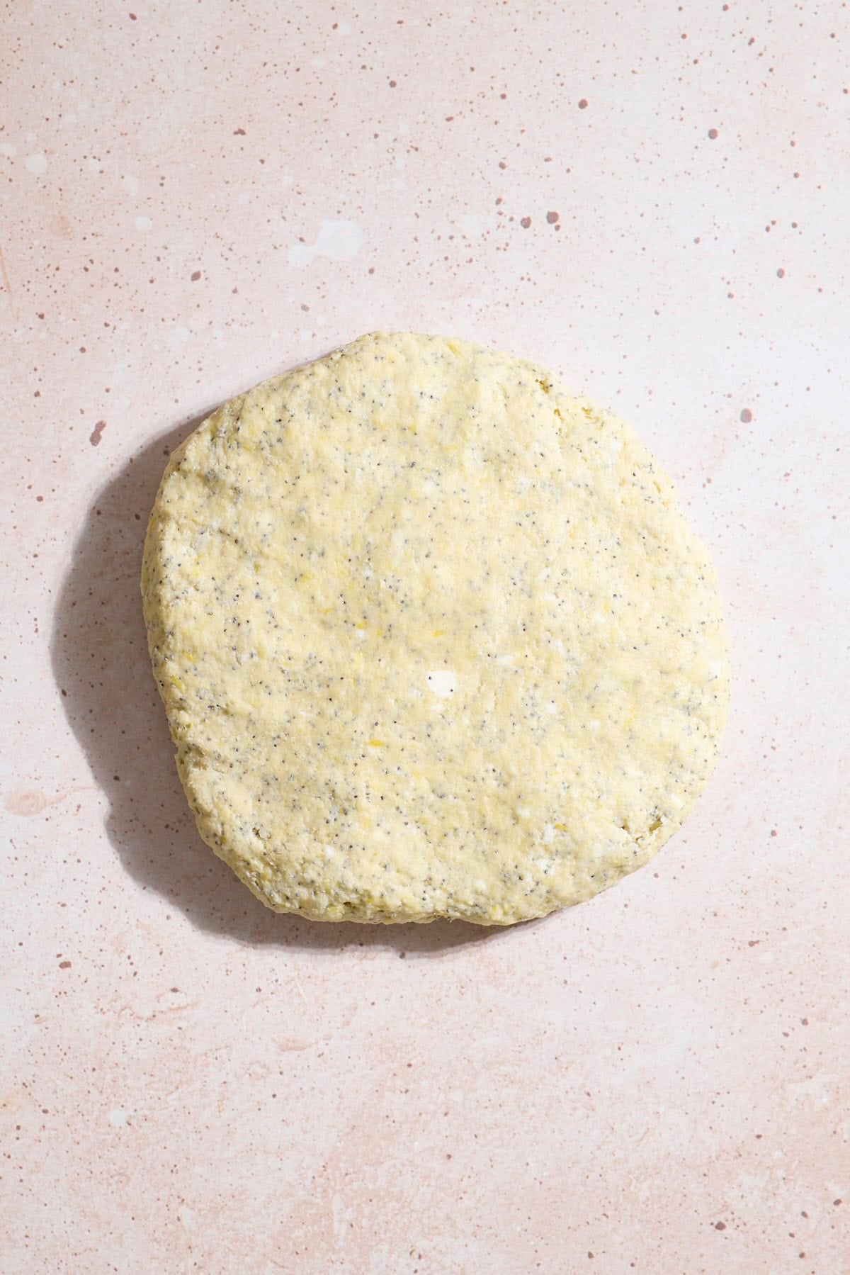 Dough pressed into a disk.