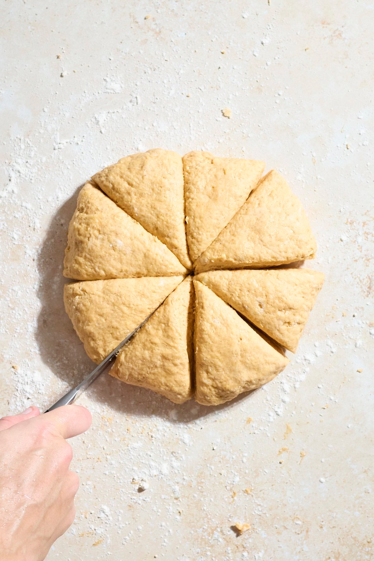 Dough cut into 8 pieces for scones.